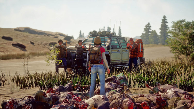 State of decay