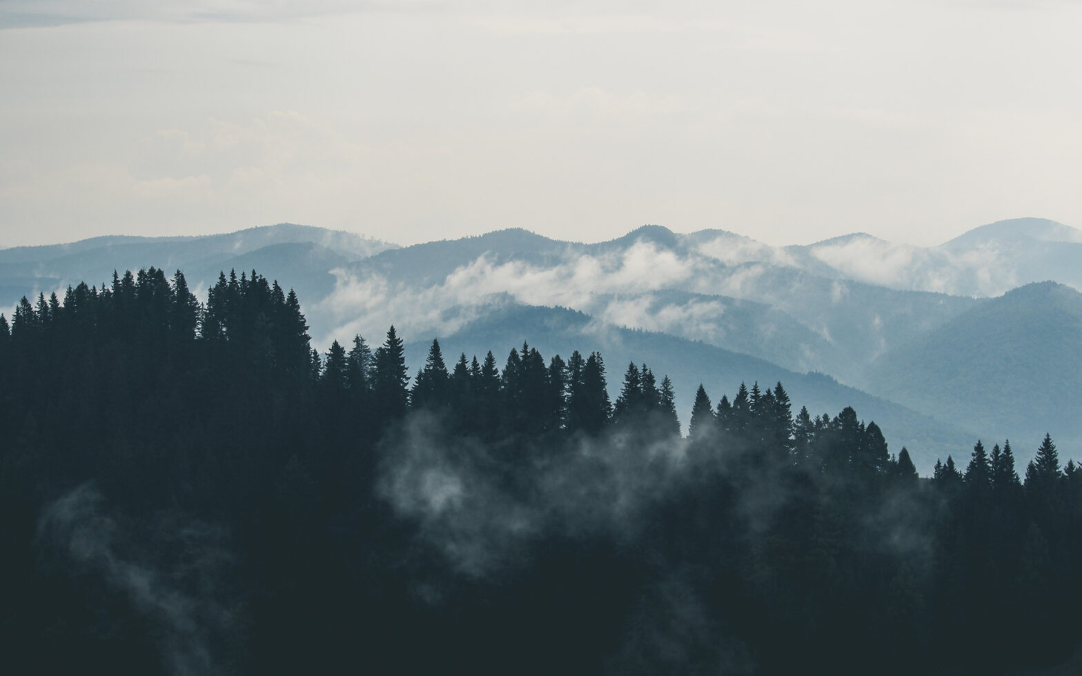 mountains clouds forest fog