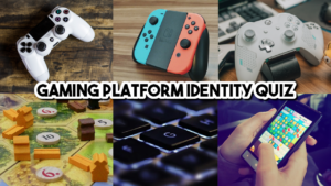What is Your Gaming Platform Identity?